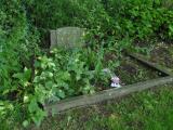 image of grave number 568476